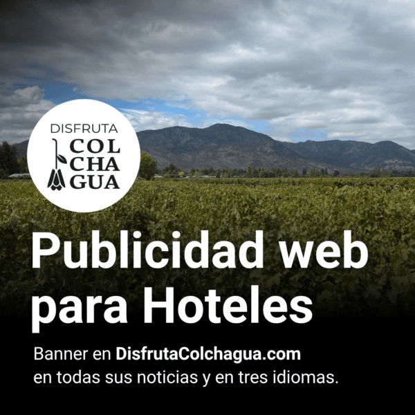 soydavid.cl turismo hoteles